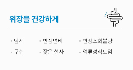 위장을 건강하게