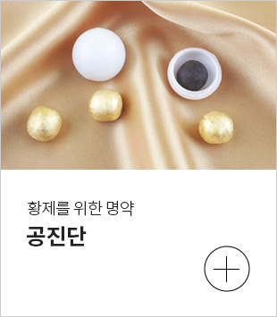 공진단